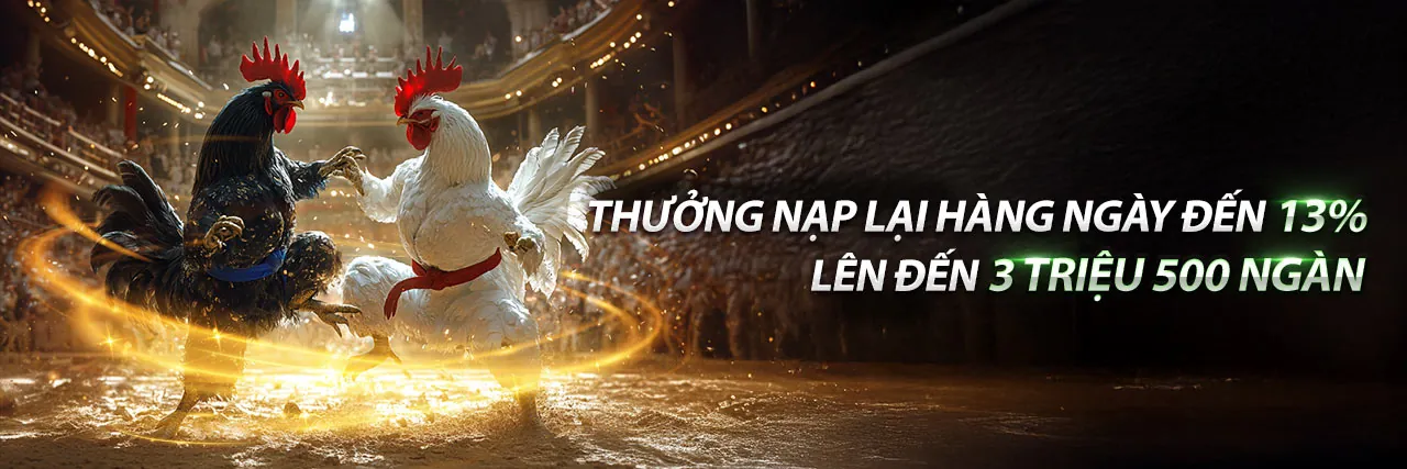 Đá gà trực tuyến hấp dẫn với mã mcw18